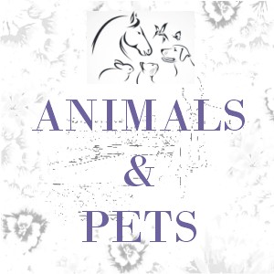 Animals & Pets (EN)