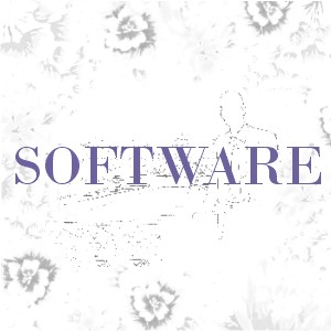 Software (DE)