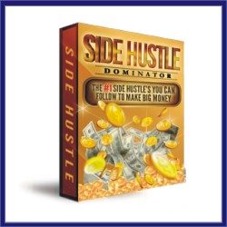 Side Hustle Dominator - Digital & Live Online Courses vip-online-university.com Training Ebooks Seminars Universities Courses - 578 Braches Online Business Health Dating - Online Marketing Survivor